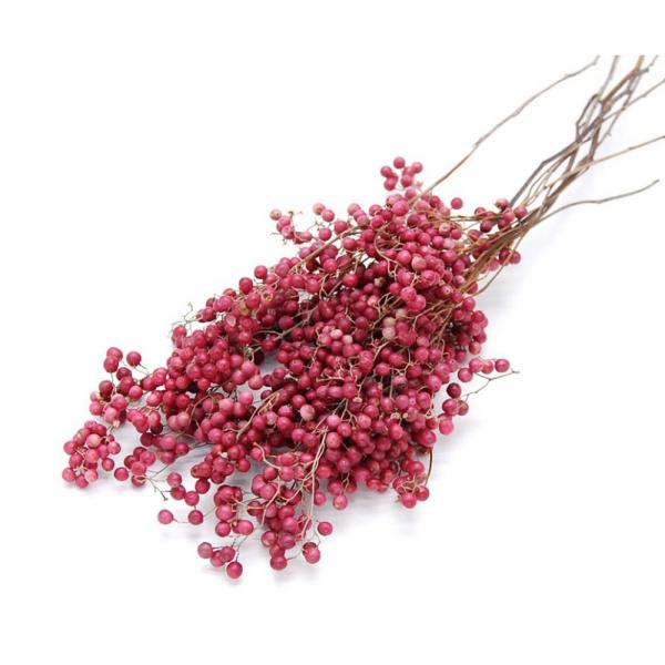 【商品番号：065-00116】/【VAR：48133】4544828181054/20170928newドライ実物＆フルーツ ペッパーベリー