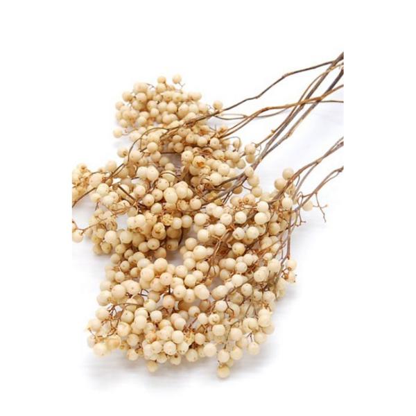 【商品番号：065-00117】/【VAR：48133】4544828181085/20170928new/bk-2045ドライ実物＆フルーツ ペッパーベリー/正月