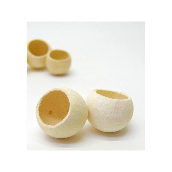 【商品番号：065-00156】/【VAR：48137】4544828302961/20170928newドライ実物＆フルーツ 木の実