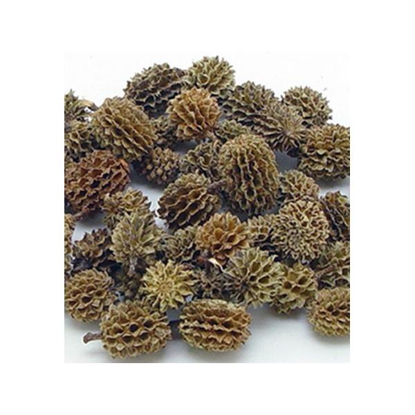 【商品番号：065-00280】/【VAR：67477】4544828302046/20170928newドライ実物＆フルーツ 木の実【コアトレーディング】