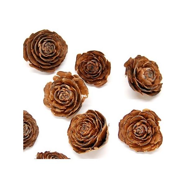 【商品番号：065-00313】/【VAR：48163】4544828302084/20170928new/bk-2026ドライ実物＆フルーツ 木の実