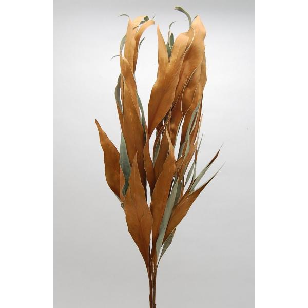 【商品番号：065-00581】/【VAR：】4544828177385/20170928new/bk-1026/opk-2019/bk-2003/bk-3011/bk-3009/bk-4007ドライ葉物 葉物