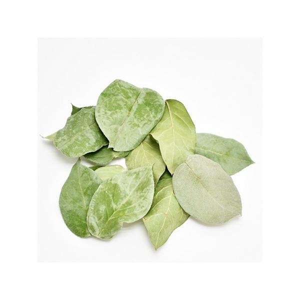 【商品番号：065-00789】/【販売単位】5袋 ※表示価格は、この単位での金額となります/【VAR：】20210615newドライ葉物 リーフ【コアトレーディング】