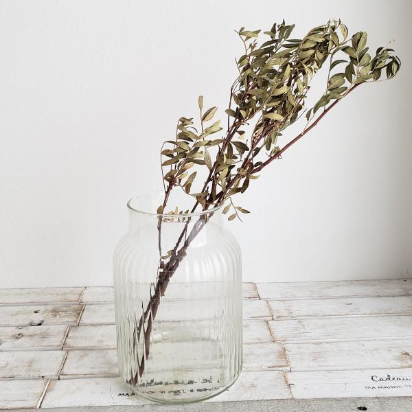 【商品番号：065-01020】/【VAR：】20220510new/bk-3009ドライ葉物 葉物【コアトレーディング】