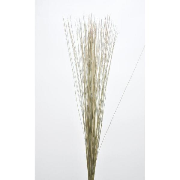 【商品番号：065-01357】/【VAR：】date20240909ドライ葉物 葉物