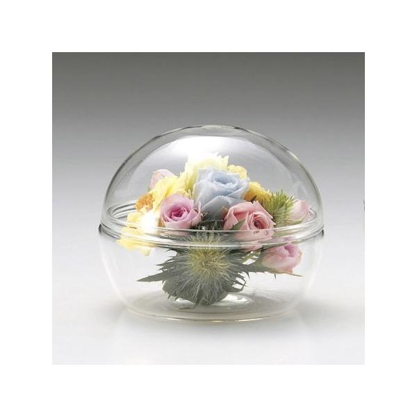 LEO^JIJ KX@s|PTTP@{[LjX^[r 142-1551-0 Ԋ ԕr h[AKXh[