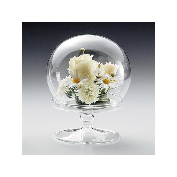 LEO^JIJ s|QTS@@th[k s-254 Ԋ ԕr h[AKXh[