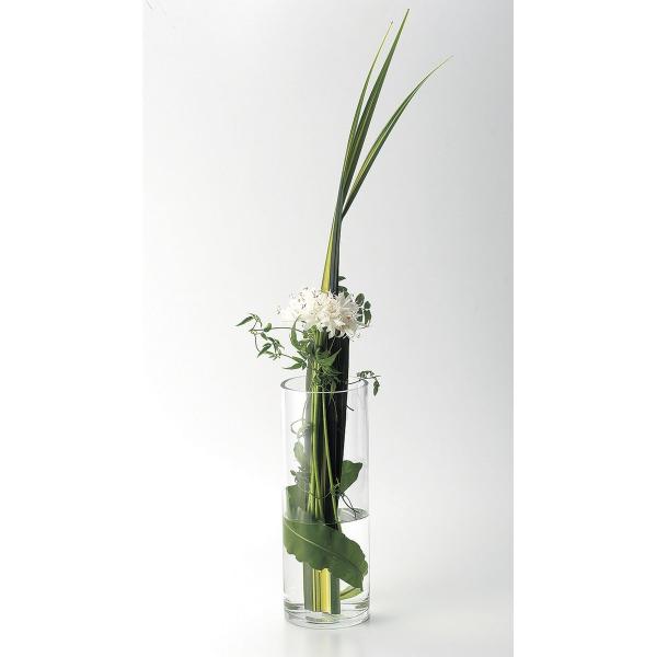 LEO^JIJ t[x[X ~380 F-3426 Ԋ ԕr KXԊ