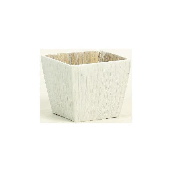 07 SG Wonder zone ktqVX_Spp 366-40DE  oXPbg EH[^[qVX CY