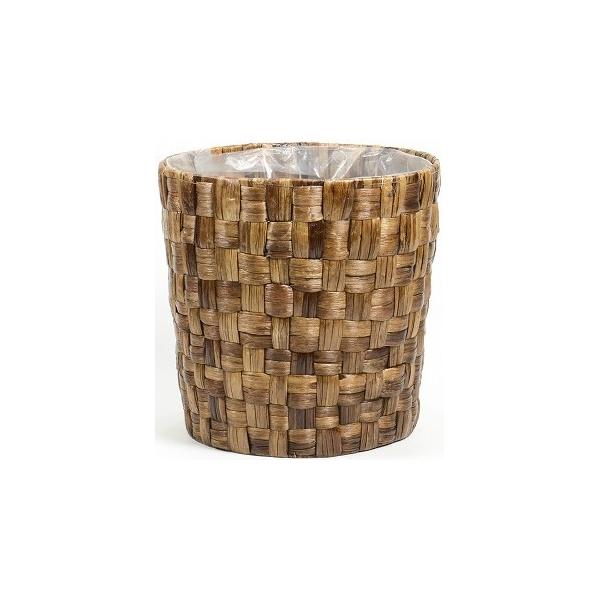 Aؔ  07 SG Wonder zone qVXPKCPOp 369-10KB K[fjO |pi t[|bg ؐ