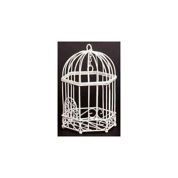 07 SG Wonder zone o[hP[Wt[h[ 502-051W Ԋ ԕr C[Ԋ