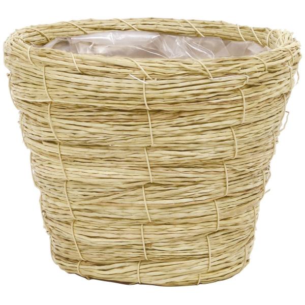 07 SG Wonder zone V[OX_Sp@rj[t 364-40DA  oXPbg V[OXoXPbg