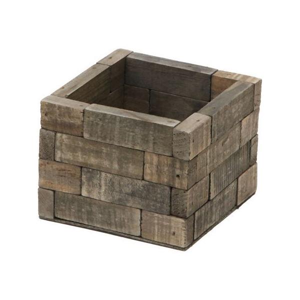 NatureDesigns ubN XNGA OC 45551 Ԋ ԕr ؐԊ