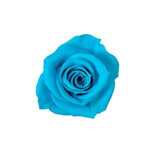 �v���U�[�u�h �t���[���G�o�[ �X�v���[���[�Y�@�J���r�A���u���[�@8�� FL070-72 �v���U�[�u�h�t�����[�ԍ� �o�� ���[�Y