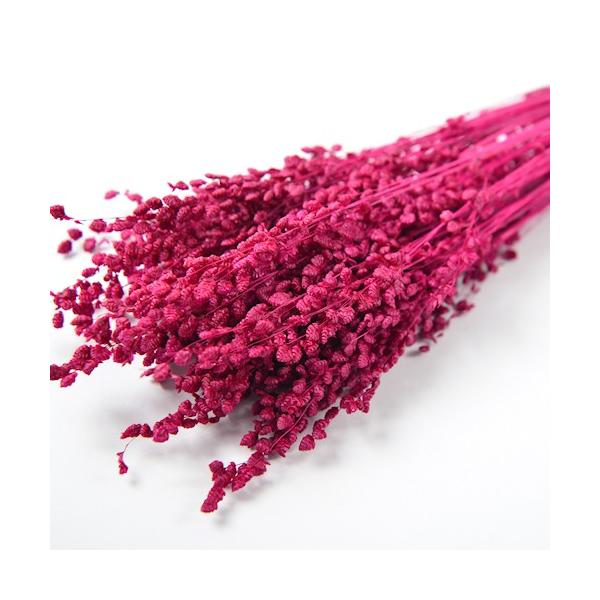 【商品番号：075-00481】/【VAR：52302】4543567860718/20180626new/hndnyorjドライフラワー花材 その他ドライフラワー