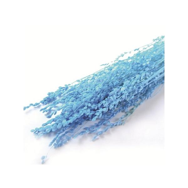 【商品番号：075-00482】/【VAR：52302】4543567860725/20180626newドライフラワー花材 その他ドライフラワー【フロールエバー】