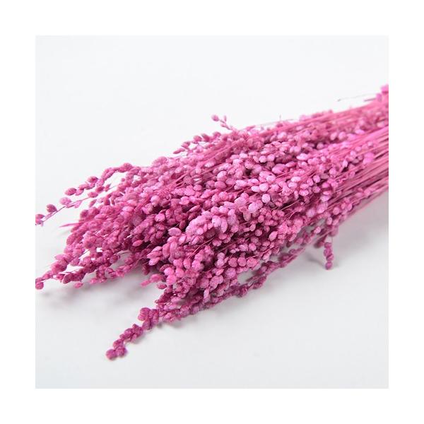 【商品番号：075-00483】/【VAR：52302】4543567860732/20180626new/hndnyorjドライフラワー花材 その他ドライフラワー