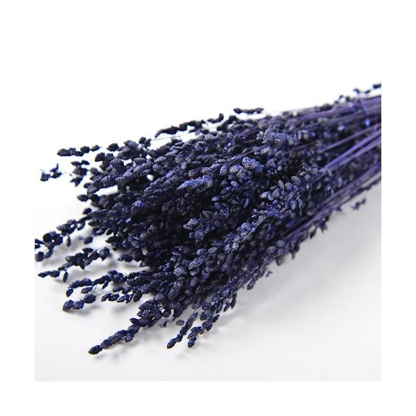 【商品番号：075-00484】/【VAR：52302】4543567860749/20180626new/hndnyorj/bk-2108ドライフラワー花材 その他ドライフラワー