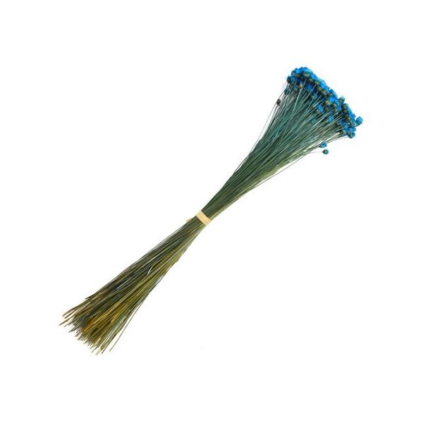 【商品番号：075-00507】/【VAR：67633】4543567860886/20180626newドライフラワー花材 その他ドライフラワー