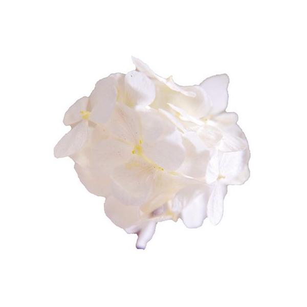 vU[uh t[Go[ v^|e AfXAWTC 35{ p[zCg FLPP2911-01 vU[uht[ԍ AWTC