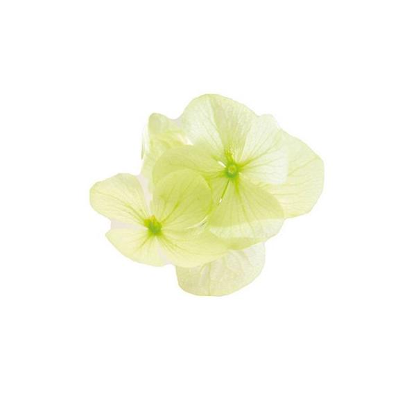 vU[uh t[Go[ v^|e AfXAWTC 35{ VgXO[ FLPP2911-64 vU[uht[ԍ AWTC