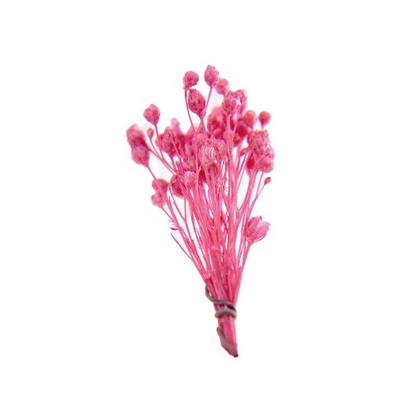 【商品番号：075-00757】/【VAR：63120】20200713new/bk-3006/color20230919プリザーブドフラワー花材 小花