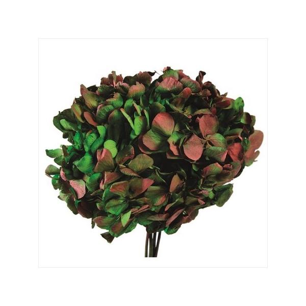 vU[uh t[Go[ [sAAWTC fI Xet O[×bh FL295-307 vU[uht[ԍ AWTC