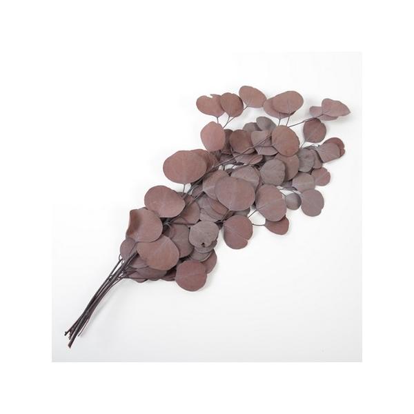 【商品番号：075-00993】/【VAR：67673】20230704new/color20230919プリザーブドグリーン 葉物