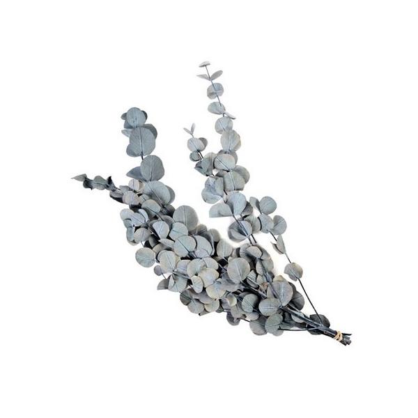 【商品番号：075-01083】/【VAR：8121】date20231212プリザーブドグリーン 葉物【フロールエバー】