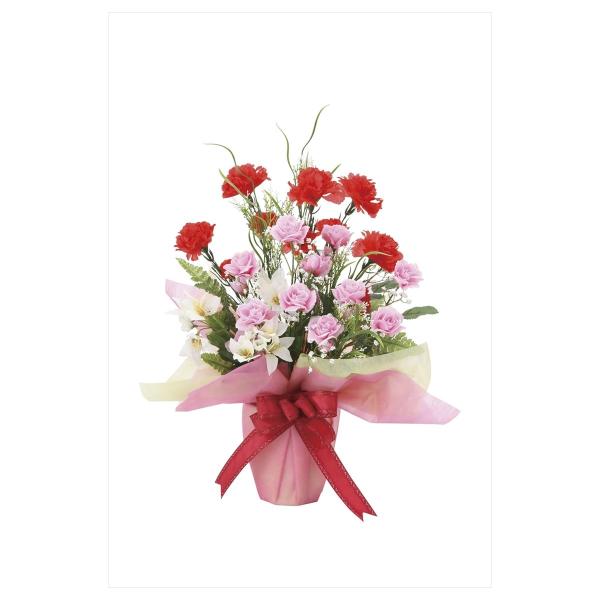 【花たん アルバム】アルバムセット 花たん アルバム】アルバムセット Amazon.co.jp: FLOWER (ALBUM
