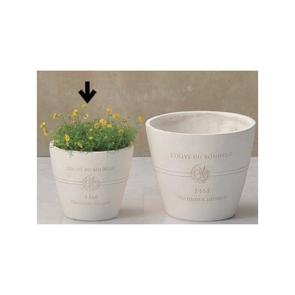 FV {k[I[uT[Nrv GF2237 |pi Aؔ t[|bg OXt@Co[