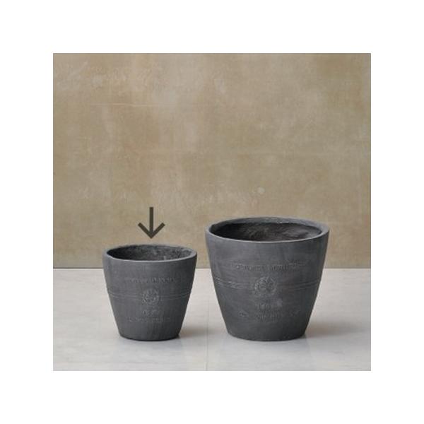 FV {k[I[uT[Nra GF2239 |pi Aؔ t[|bg OXt@Co[