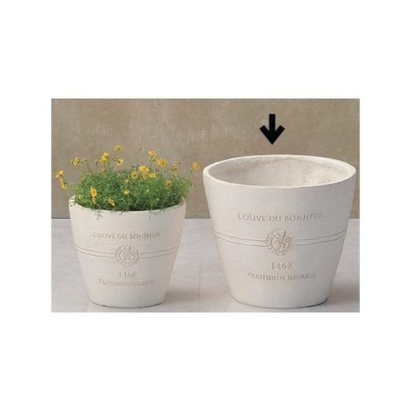 FV {k[I[uT[Nlv GF2240 |pi Aؔ t[|bg OXt@Co[