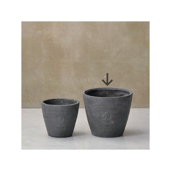 FV {k[I[uT[Nla GF2242 |pi Aؔ t[|bg OXt@Co[