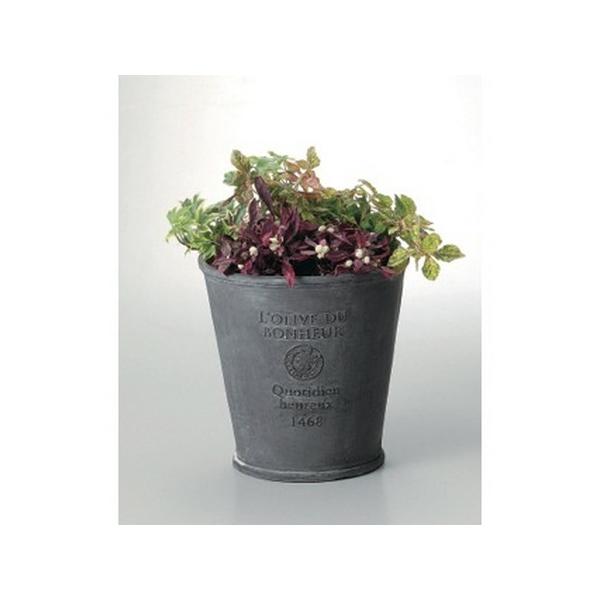 FV {k[I[uT[NOra GF2254 |pi Aؔ t[|bg OXt@Co[