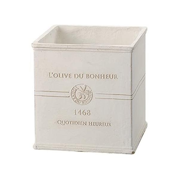 FV {k[I[uXNGAlv GF2261 |pi Aؔ t[|bg OXt@Co[