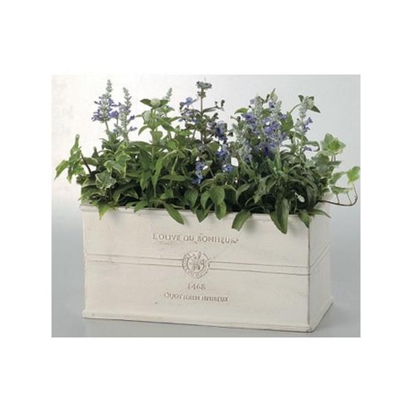 FV {k[I[uO{bNXlv GF2273 K[fjO |pi v^[ OXt@Co[