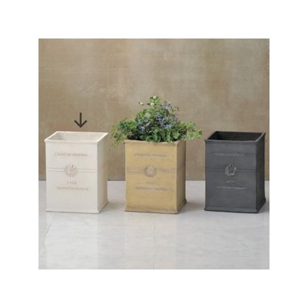 FV {k[I[uOXNGAv GF2276 |pi Aؔ t[|bg OXt@Co[