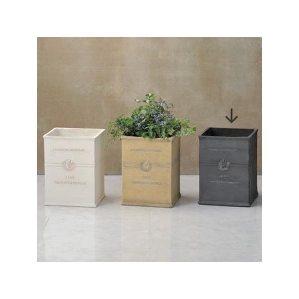 FV {k[I[uOXNGAa GF2278 |pi Aؔ t[|bg OXt@Co[