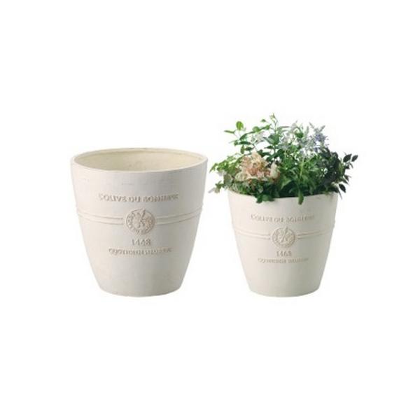 FV {k[I[uOQ_Zbgv GF2279 |pi Aؔ t[|bg OXt@Co[