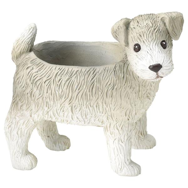 Aؔ  FV WjI[|bg 5E3715 K[fjO |pi t[|bg `[t