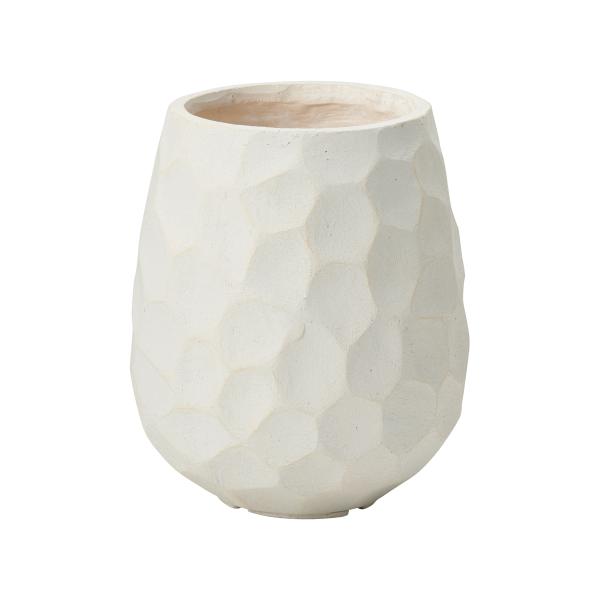 FV WIg[Obv GF3551 |pi Aؔ t[|bg OXt@Co[