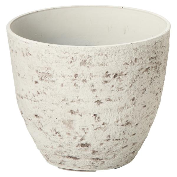 Aؔ  FV eB[GRXV[glv AK329 K[fjO |pi t[|bg 