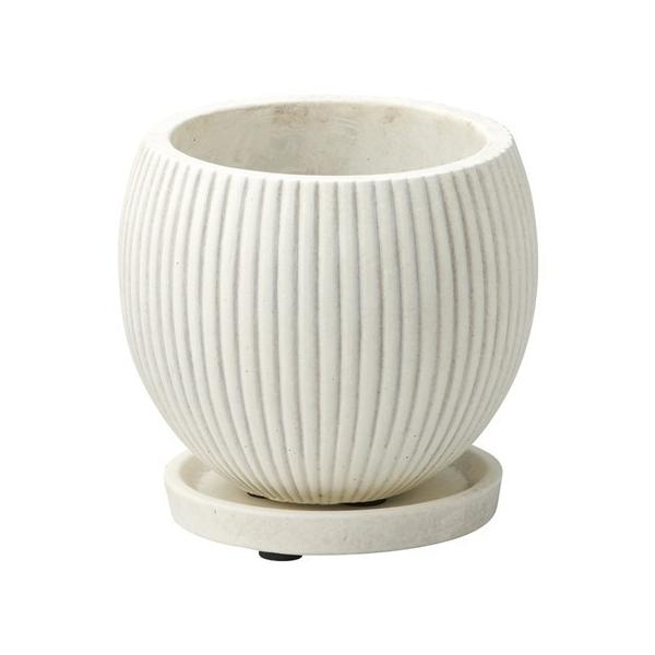 Aؔ  FV {E|bgrv Mt  TL217 K[fjO |pi t[|bg Zg