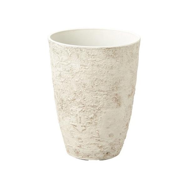 Aؔ  FV eB[GRT[NOrv AK343 K[fjO |pi t[|bg 