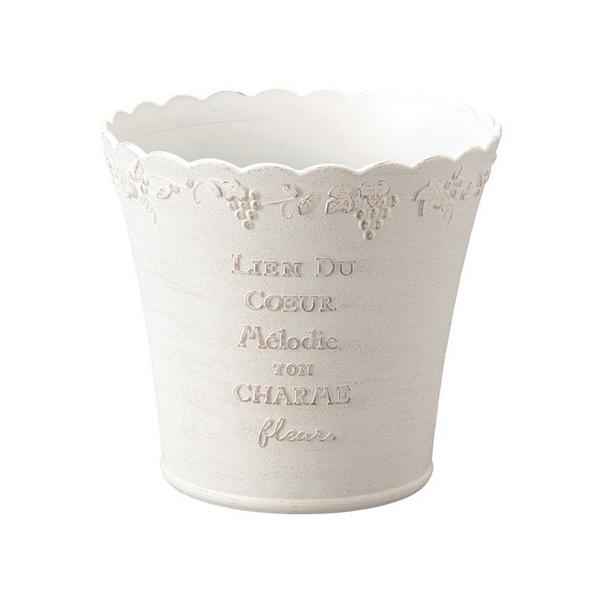 Aؔ  FV UT[Nrv MS1047 K[fjO |pi t[|bg 