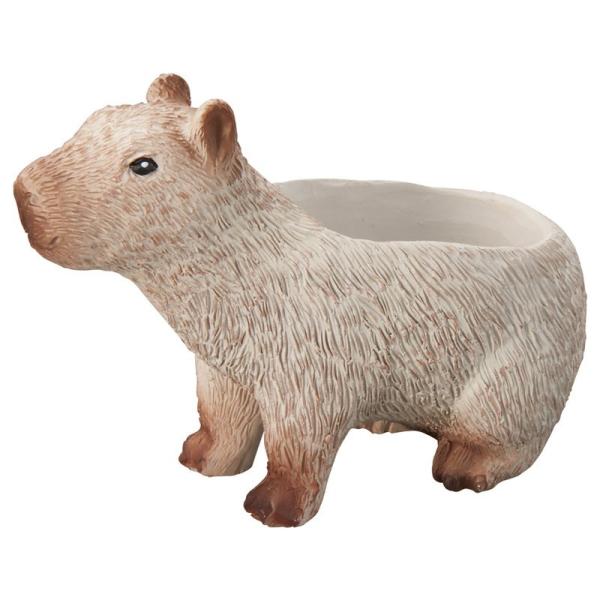 Aؔ  FV Jso|bg 5E3939 K[fjO |pi t[|bg W