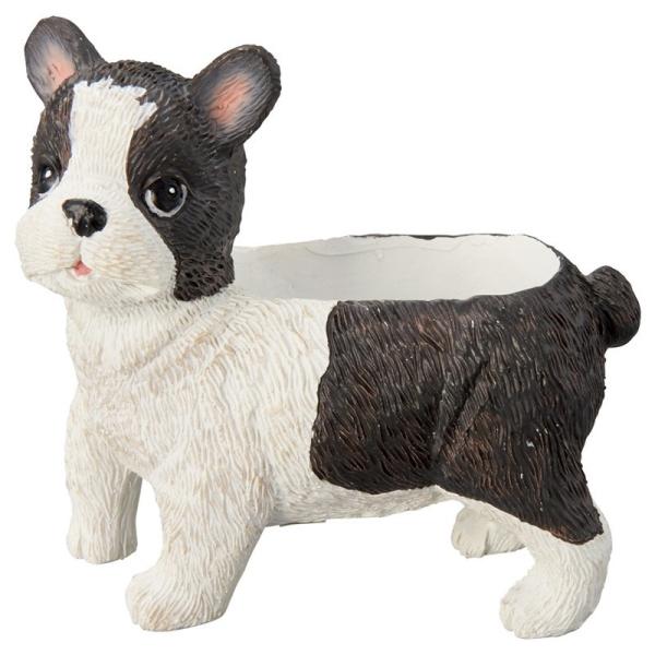 Aؔ  FV {XgeA|bg 5E3982 K[fjO |pi t[|bg W