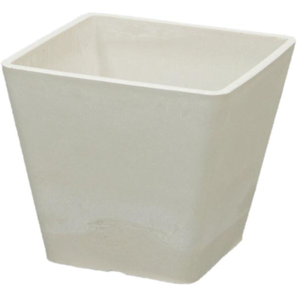 勴VX oJ zCg XNGA c3 55-252 5 Ԋ ԕr vX`bN ANԊ