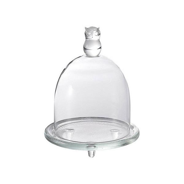 zr[ tNEOXh[ FR-842 6 Ԋ ԕr h[AKXh[